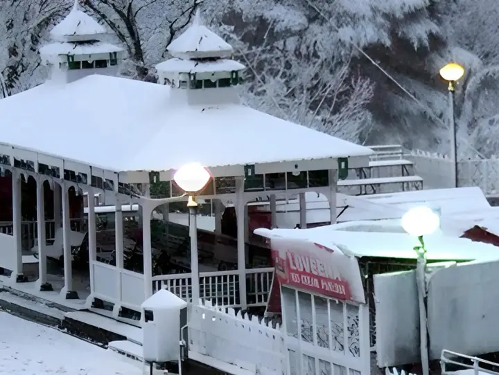 Шимла: Hotel Vaikunth