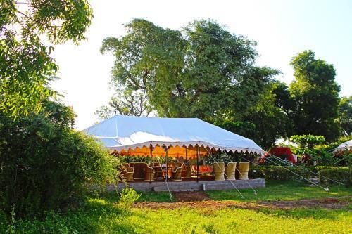 Бера: Varawal Jawai Leopard Safari Camp