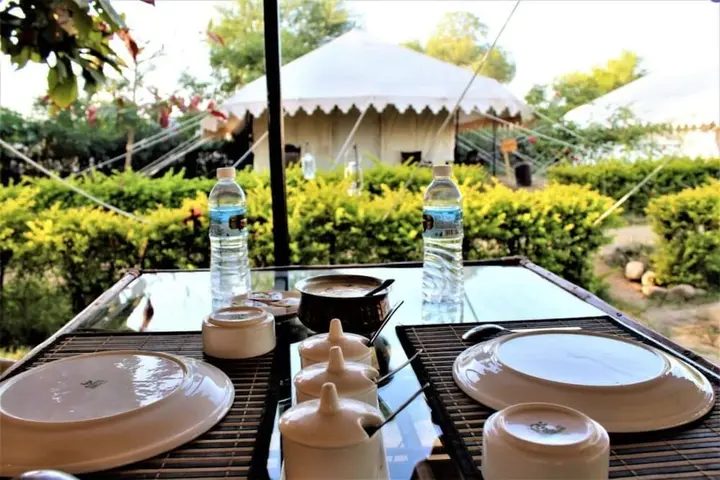 Бера: Varawal Jawai Leopard Safari Camp