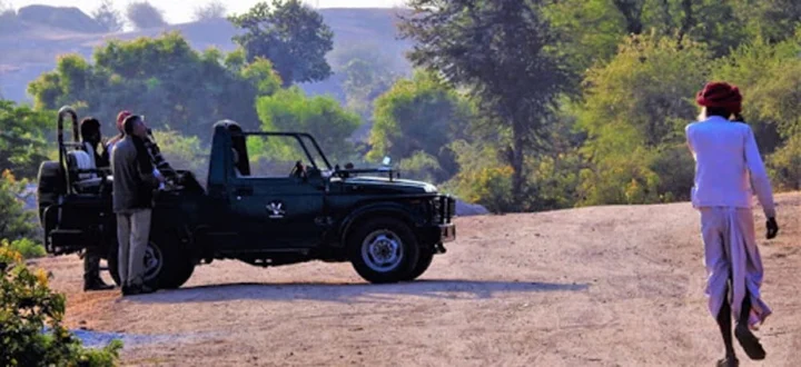 Бера: Varawal Jawai Leopard Safari Camp