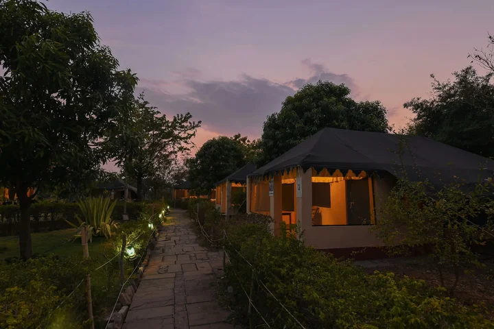 Бхамдели: Camp Serai Tiger Tadoba