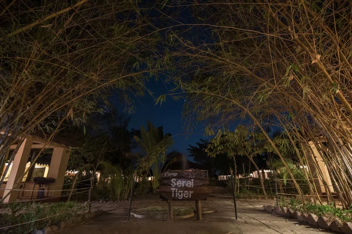 Бхамдели: Camp Serai Tiger Tadoba