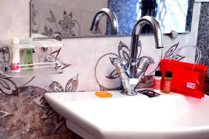 Гора Абу: Forest Eco Lodge