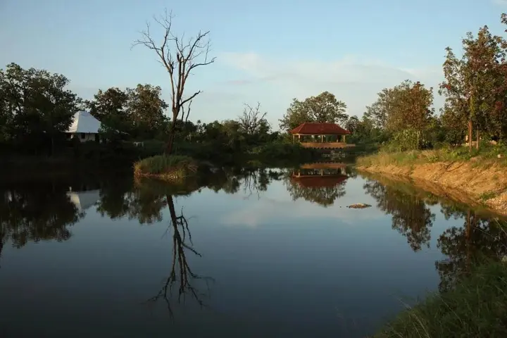 Тивса: Tuli Tiger Corridor