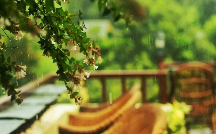 Кангра: Blossoms Village Resort