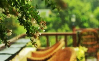 Кангра: Blossoms Village Resort