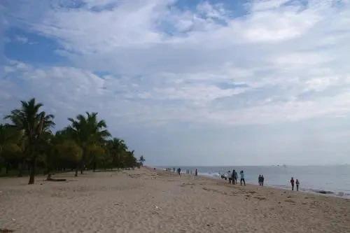Cherthala: Marari Cleetus beach homestay