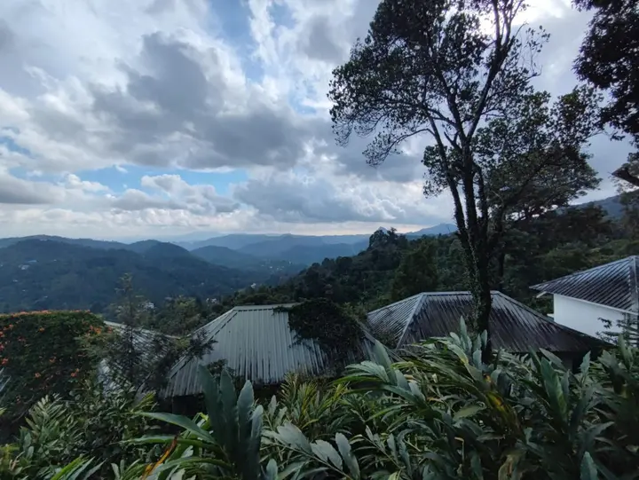 Муннар: Munnar Tea Hills Resort (MTHR)