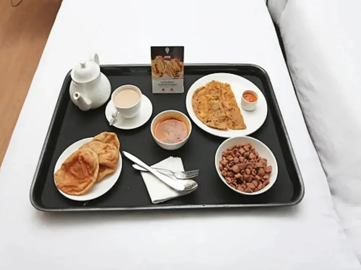 Читторгарх: Hotel President