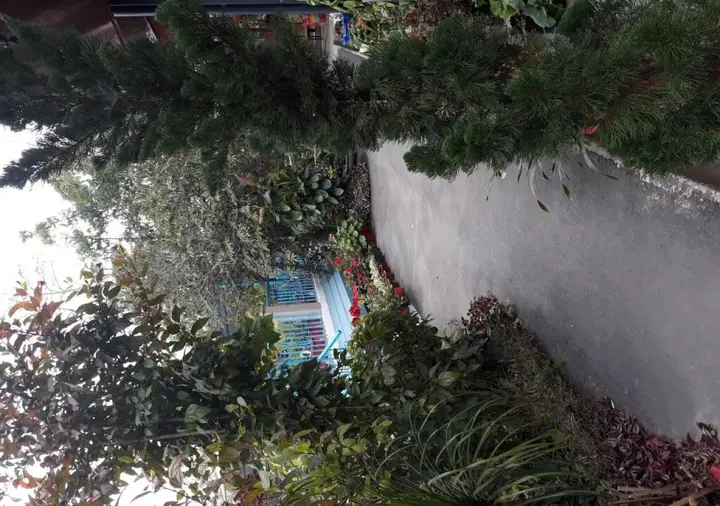 Калимпонг: The Shire Kalimpong