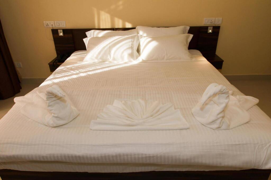 Калангут: Night Inn