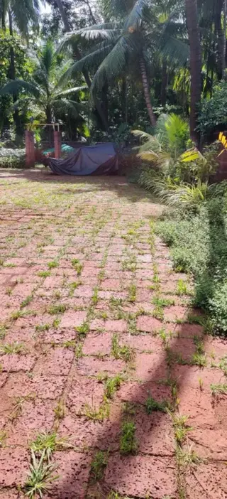 Муруд: Oasis Resort