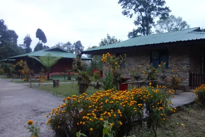 Пеллинг: The Barfung Retreat