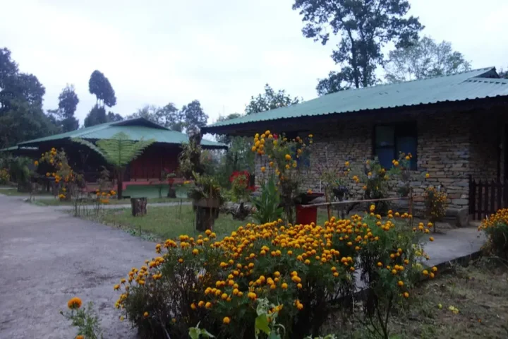 Пеллинг: The Barfung Retreat