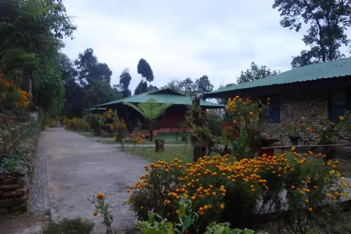 Пеллинг: The Barfung Retreat