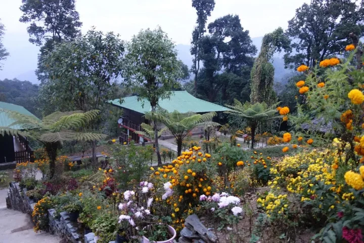 Пеллинг: The Barfung Retreat