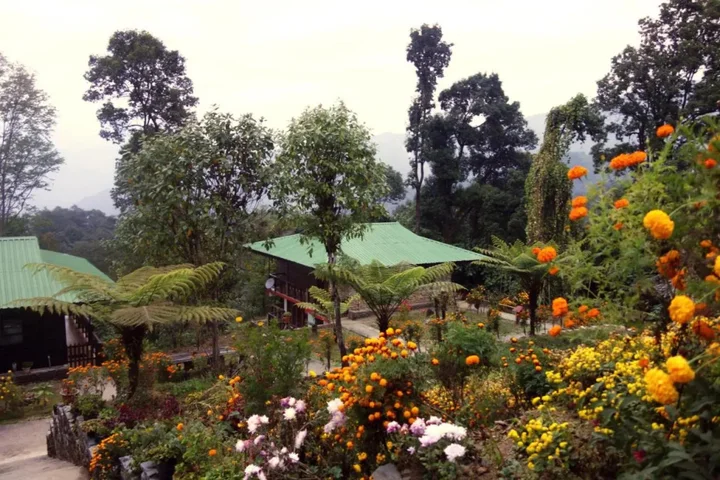 Пеллинг: The Barfung Retreat