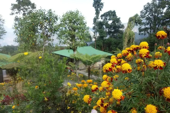 Пеллинг: The Barfung Retreat