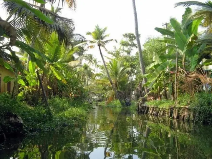 Аллеппи: Alapatt Homestay