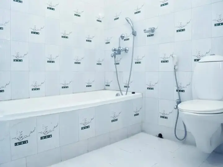 Прасергандж: Hotel Amarabati