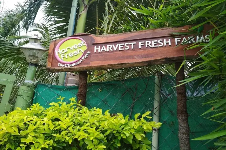 Harvest Fresh Farms — фото 2