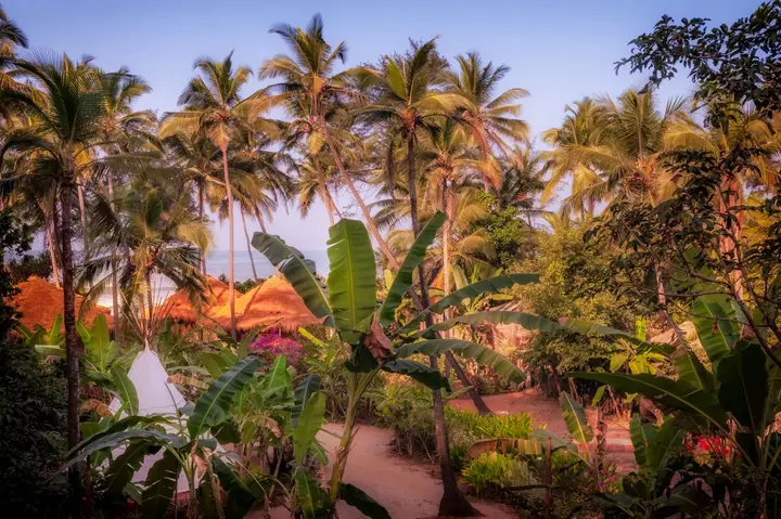 Ашвем: Anahata Retreat Beach front resort