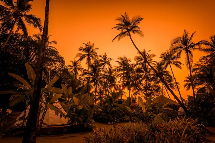 Ашвем: Anahata Retreat Beach front resort