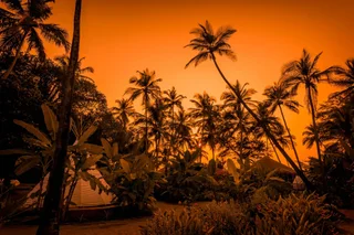 Ашвем: Anahata Retreat Beach front resort
