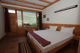Манали: Hotel Valley of Gods
