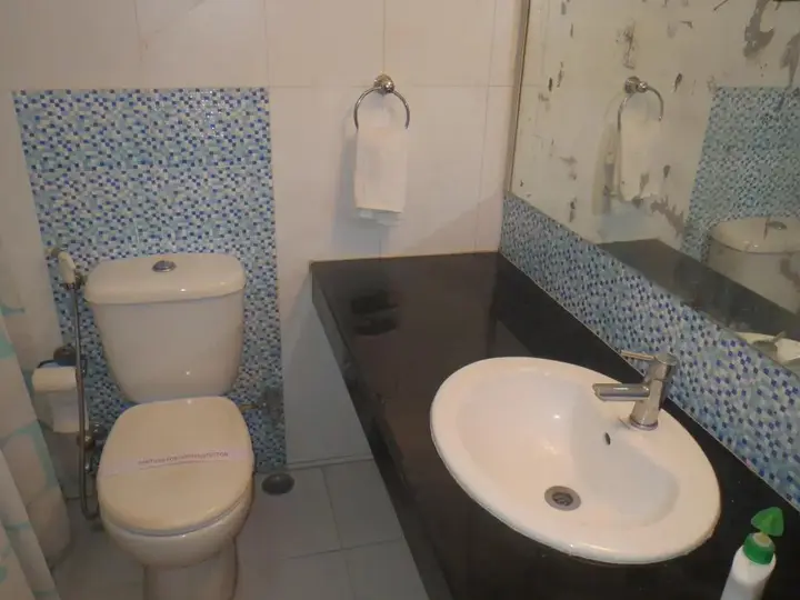 Нью-Дели: The Green Villa - Airport Hotel & Spa Resort