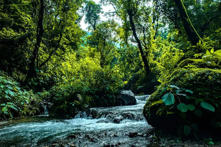 Прем-Нагар: Haut Monde Hill Stream Resort and Spa