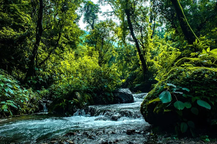 Прем-Нагар: Haut Monde Hill Stream Resort and Spa