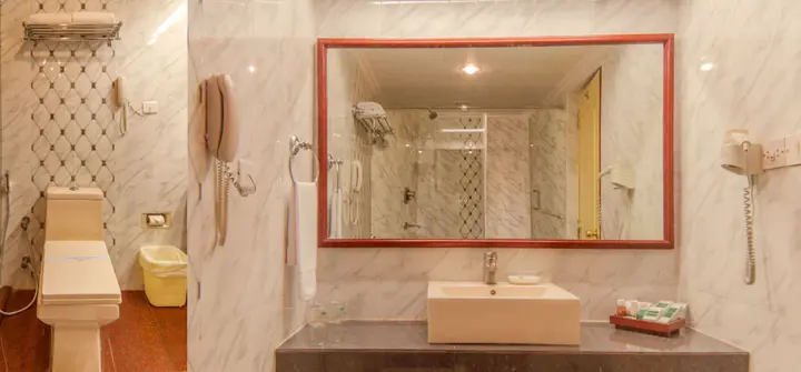 Пудучерри: Hotel Annamalai International