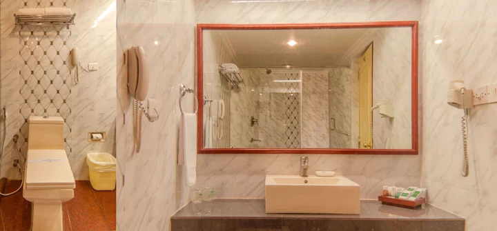 Пудучерри: Hotel Annamalai International