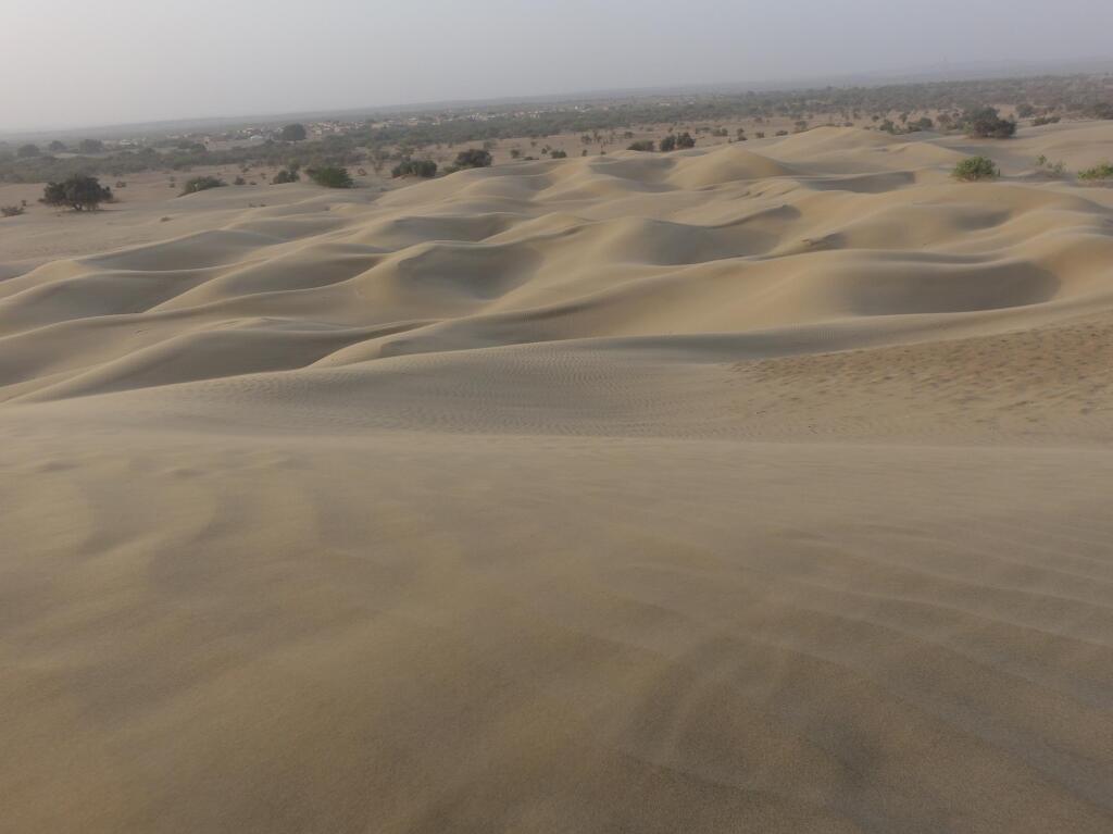 Кхури: Chandani Desert Resort and Camp