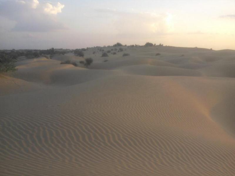 Chandani Desert Resort and Camp — фото 4