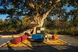 Баихар: Singinawa Jungle Lodge Kanha