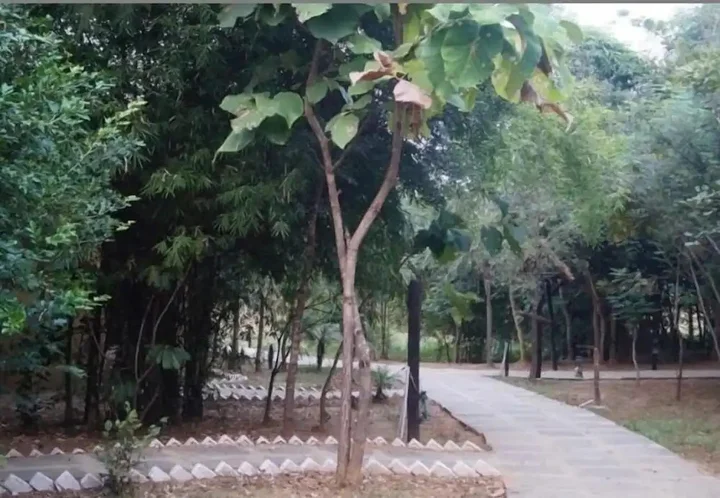 Баихар: Mogli Resorts Kanha