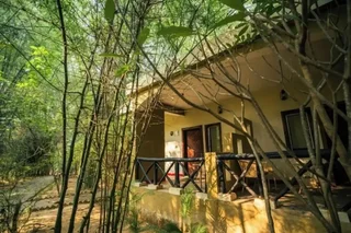 Баихар: Mogli Resorts Kanha