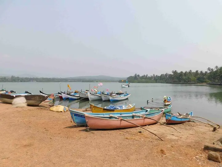 Южный Гоа: Peace Garden Goa
