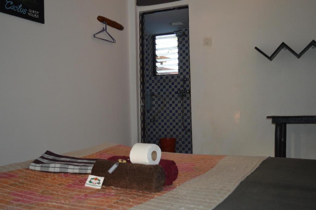 Арамбол: Cactus Guesthouse