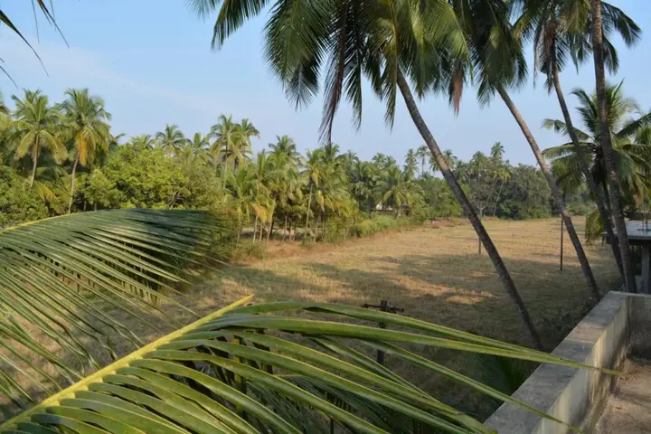 Морджим: Vailankanni Guesthouse