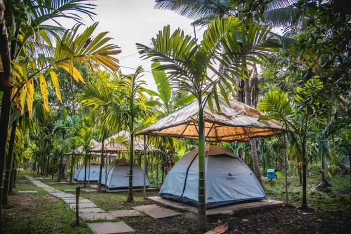 Лонда: Dandeli Jungle Villa