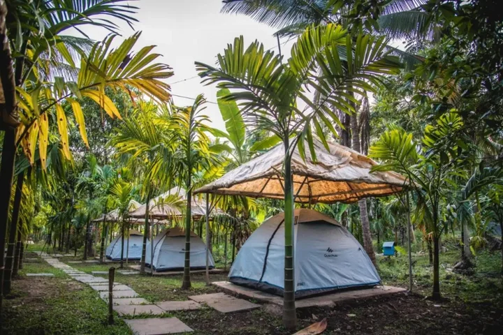 Лонда: Dandeli Jungle Villa
