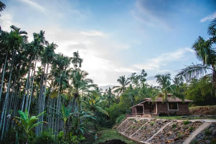 Лонда: Dandeli Jungle Villa