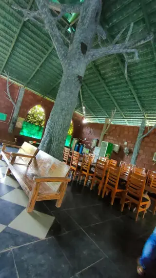 Лонда: Dandeli Jungle Villa