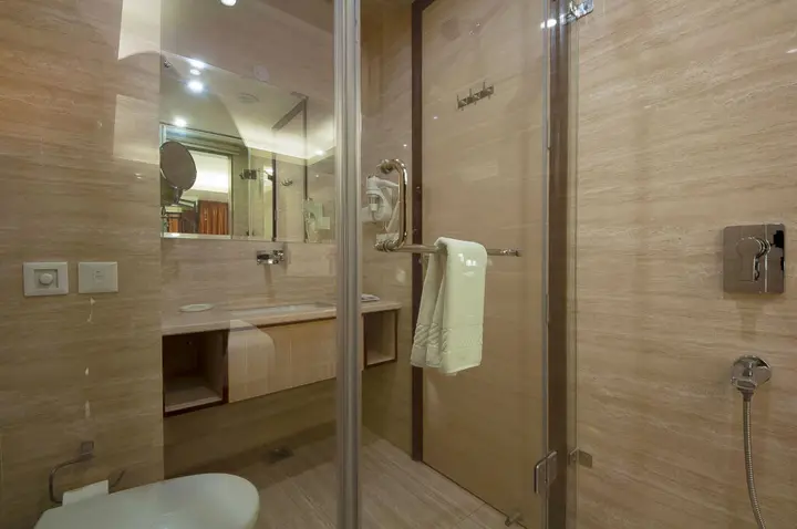 Нью-Дели: Hotel Golden Grand