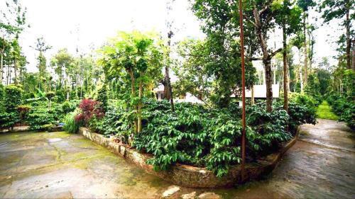 Кушалнагар: Coorg Green Nest Homes