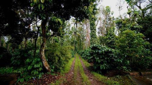 Кушалнагар: Coorg Green Nest Homes