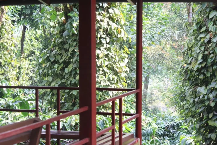 Кушалнагар: Heights Farm Stay - Coffee Estate Stay